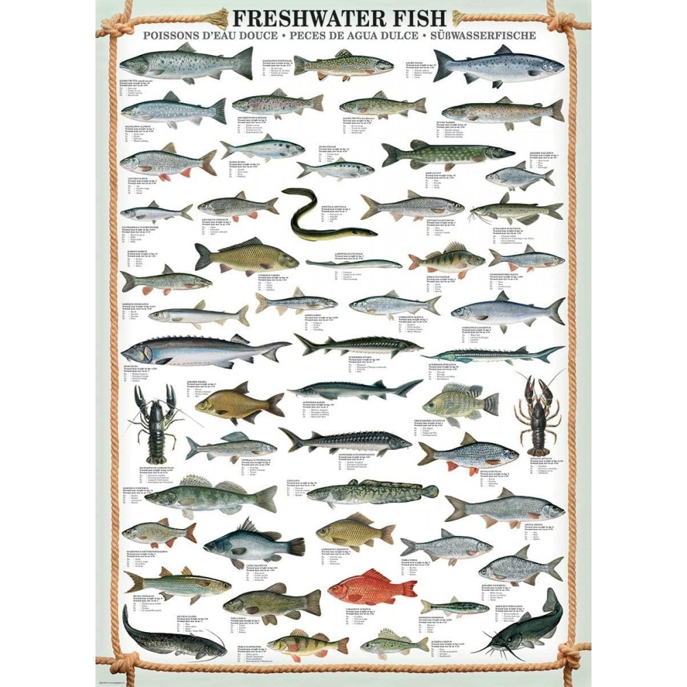 Freshwater Fish Pussel 1000 bitar